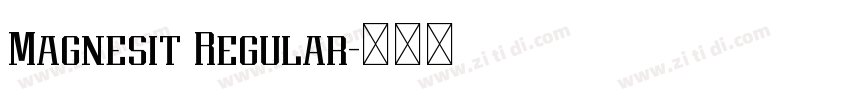 Magnesit Regular字体转换